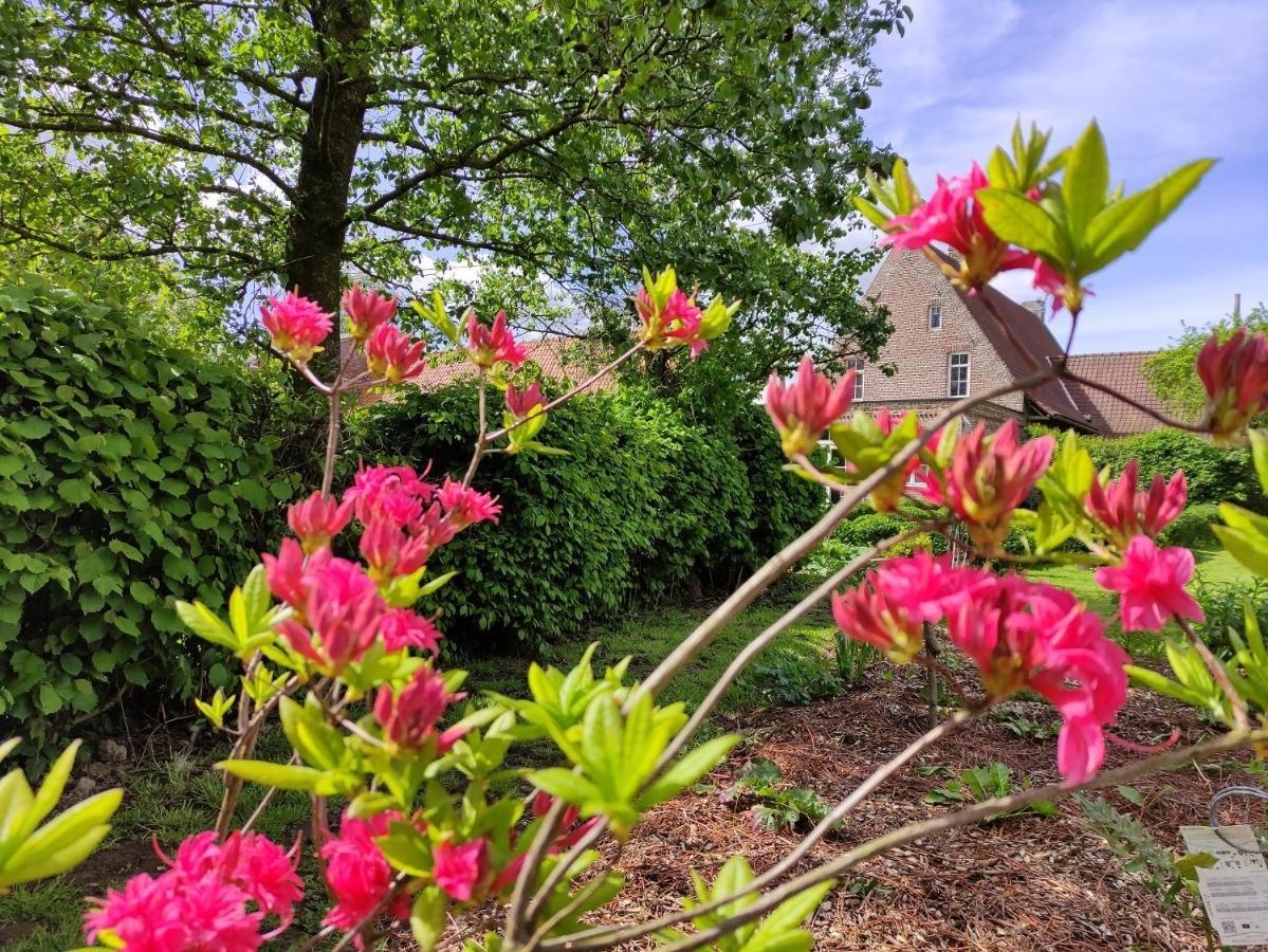 Manoir Du Kasteelveld Hotel Cassel Eksteriør billede