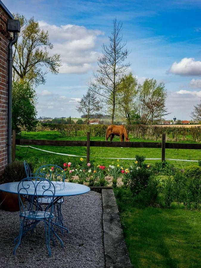 Manoir Du Kasteelveld Hotel Cassel Eksteriør billede